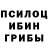 Псилоцибиновые грибы GOLDEN TEACHER rtyp volk