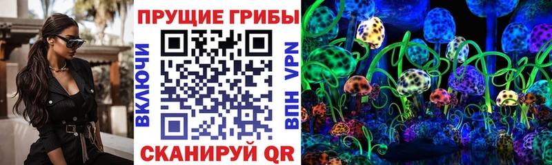 Галлюциногенные грибы прущие грибы  Шахунья 